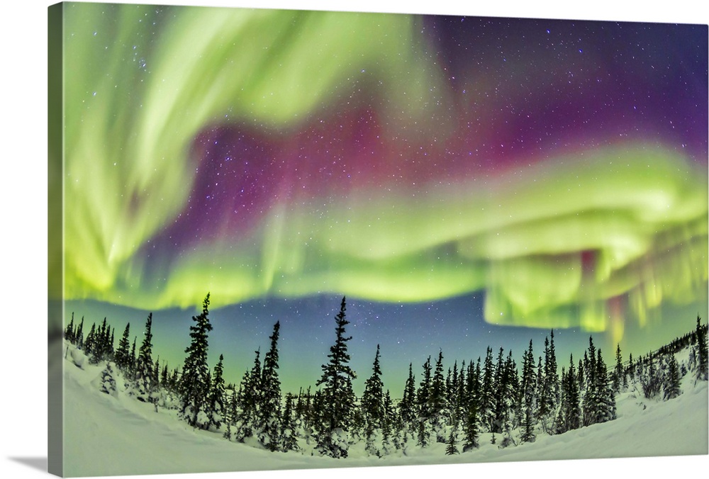 Footpad bestemt Australien Aurora borealis over Churchill, Manitoba, Canada Wall Art, Canvas Prints,  Framed Prints, Wall Peels | Great Big Canvas