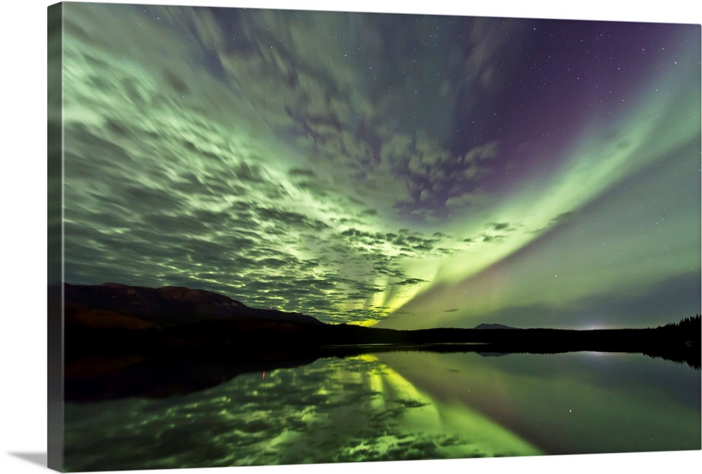 Aurora borealis over Schwatka Lake, Yukon, Canada.