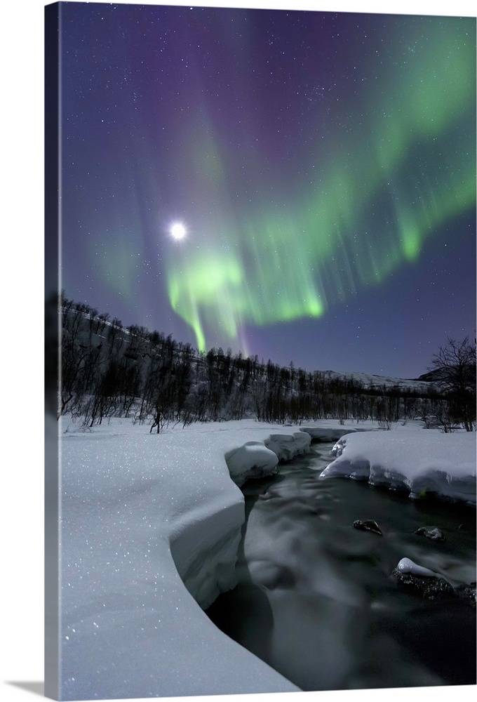 Aurora Borealis and a full moon over the Blafjellelva River in Troms County, Norway. Auroras are the result of the emissio...