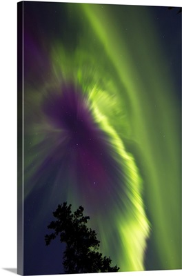 Aurora borealis, Whitehorse, Yukon, Canada