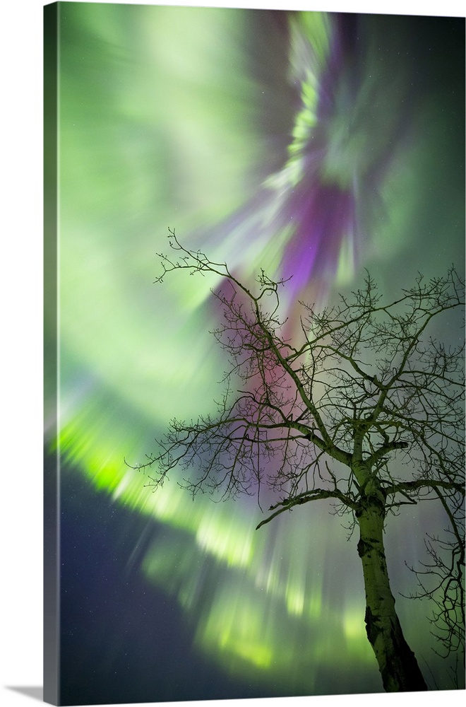 Aurora Borealis, Whitehorse, Yukon, Canada.