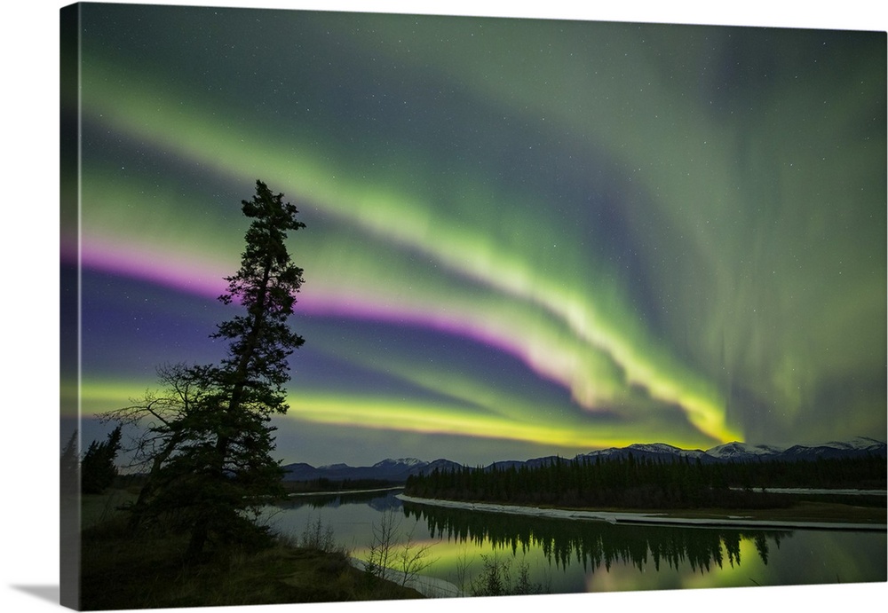 Aurora Borealis, Whitehorse, Yukon, Canada.