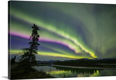 Aurora Borealis, Whitehorse, Yukon, Canada