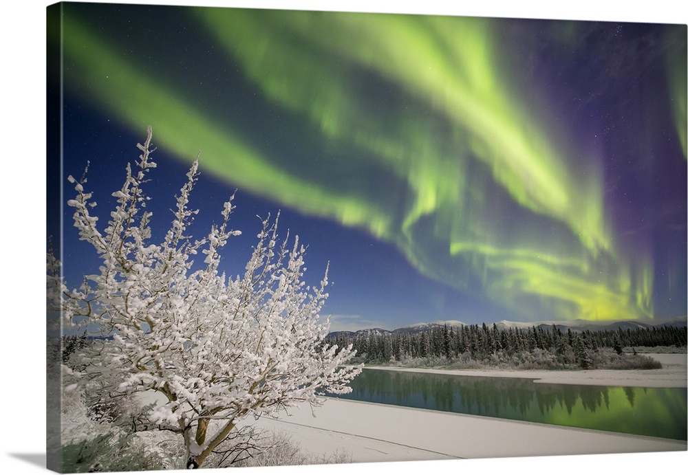 Aurora Borealis, Whitehorse, Yukon, Canada.