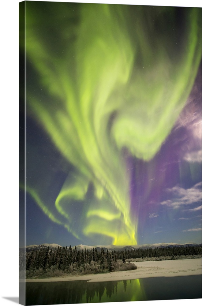 Aurora Borealis, Whitehorse, Yukon, Canada.