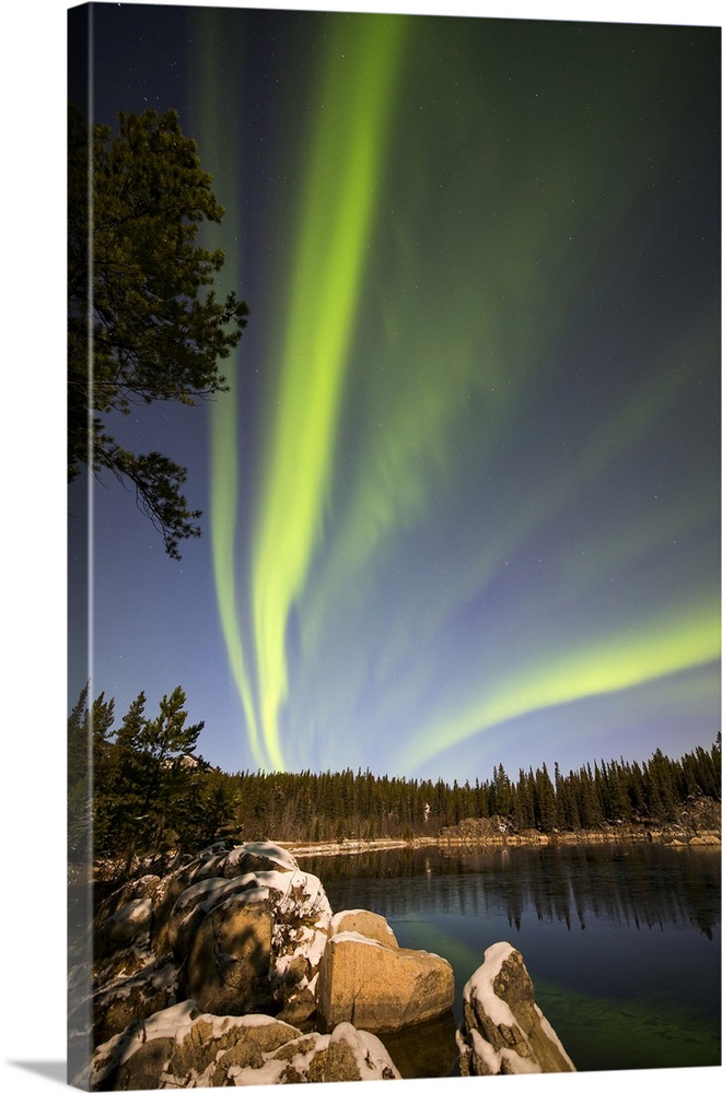 Aurora Borealis, Whitehorse, Yukon, Canada.