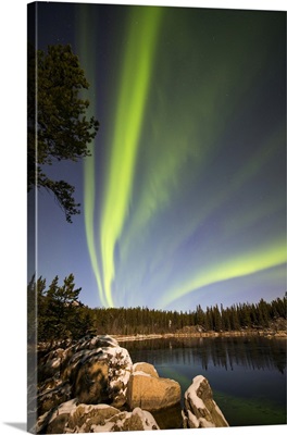 Aurora Borealis, Whitehorse, Yukon, Canada