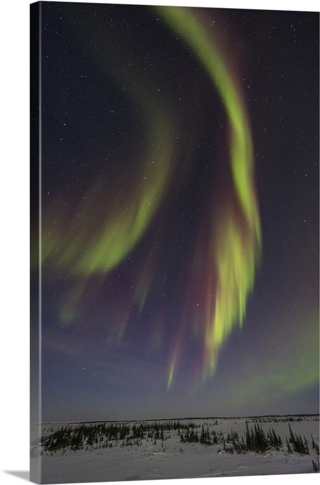 Auroral curtains in the northeastern sky, with the Big Dipper and Ursa Major at upper left