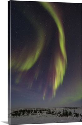 Auroral Curtains In The Northeastern Sky, With The Big Dipper And Ursa Major