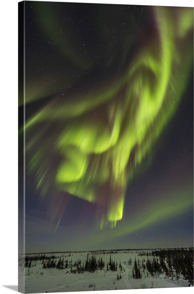Auroral curtains in the northeastern sky, with the Big Dipper and Ursa Major at upper left
