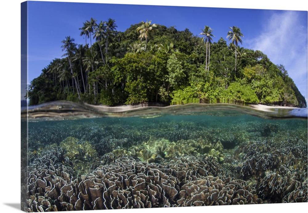 A beautiful coral reef thrives around an island in a remote part of Raja Ampat, Indonesia.