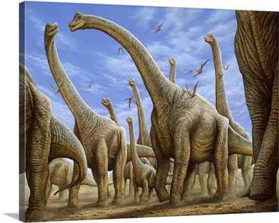 Brachiosaurus Herd On The Move