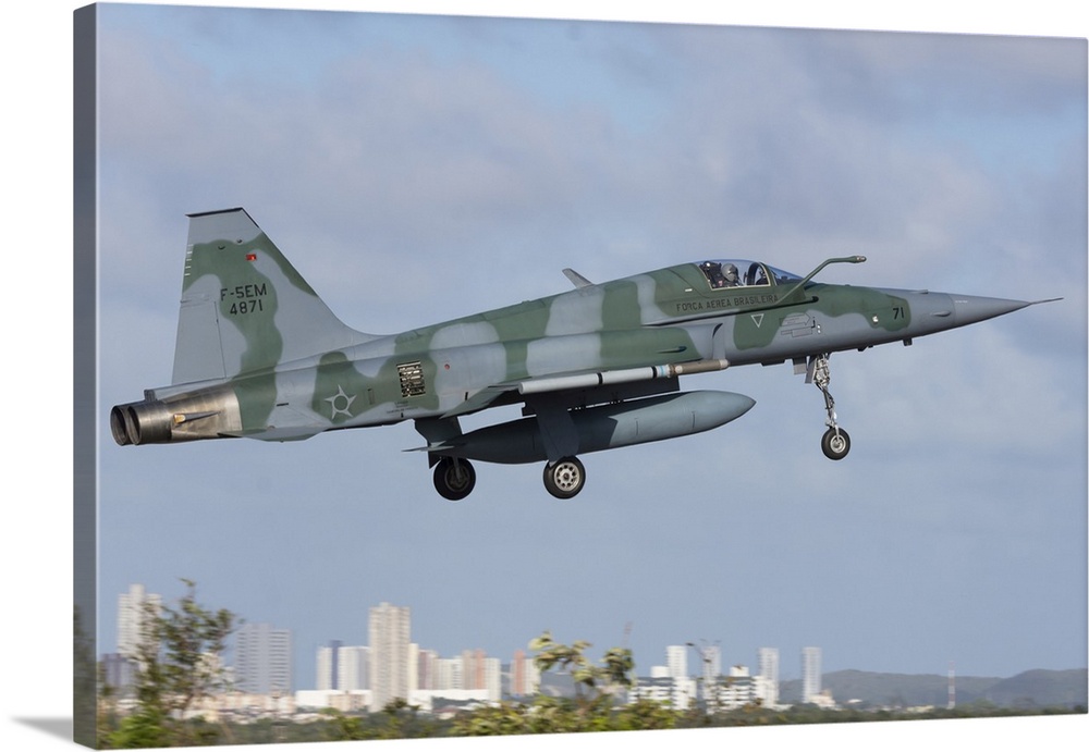 Brazilian Air Force F-5EM during exercise CRUZEX 2018.