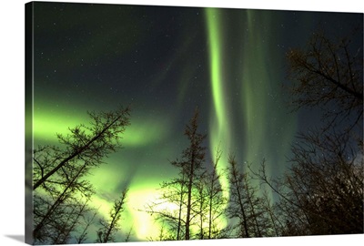 Bright aurora borealis, Lake Laberge, Yukon, Canada
