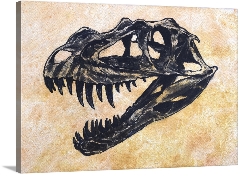Ceratosaurus dinosaur skull on textured background.