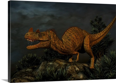 Ceratosaurus was a large predatory dinosaur from the Late Jurassic Period