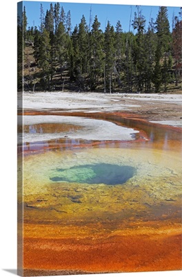 Chromatic Pool Hot Spring, Yellowstone National Park, Wyoming
