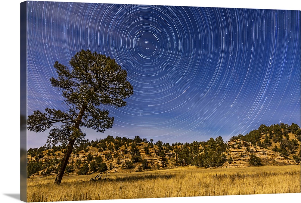 Circumpolar star trails over the moonlit Mimbres Valley near Lake Roberts in the Gila National Forest, in southwest New Me...
