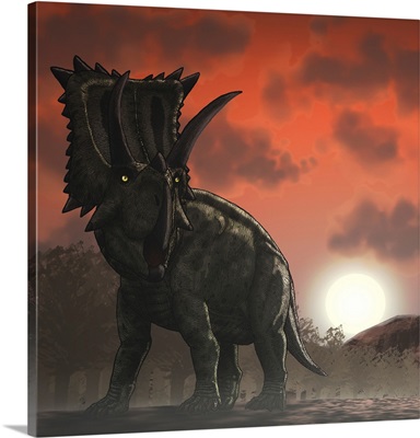 Coahuilaceratops walking through a Cretaceous sunset