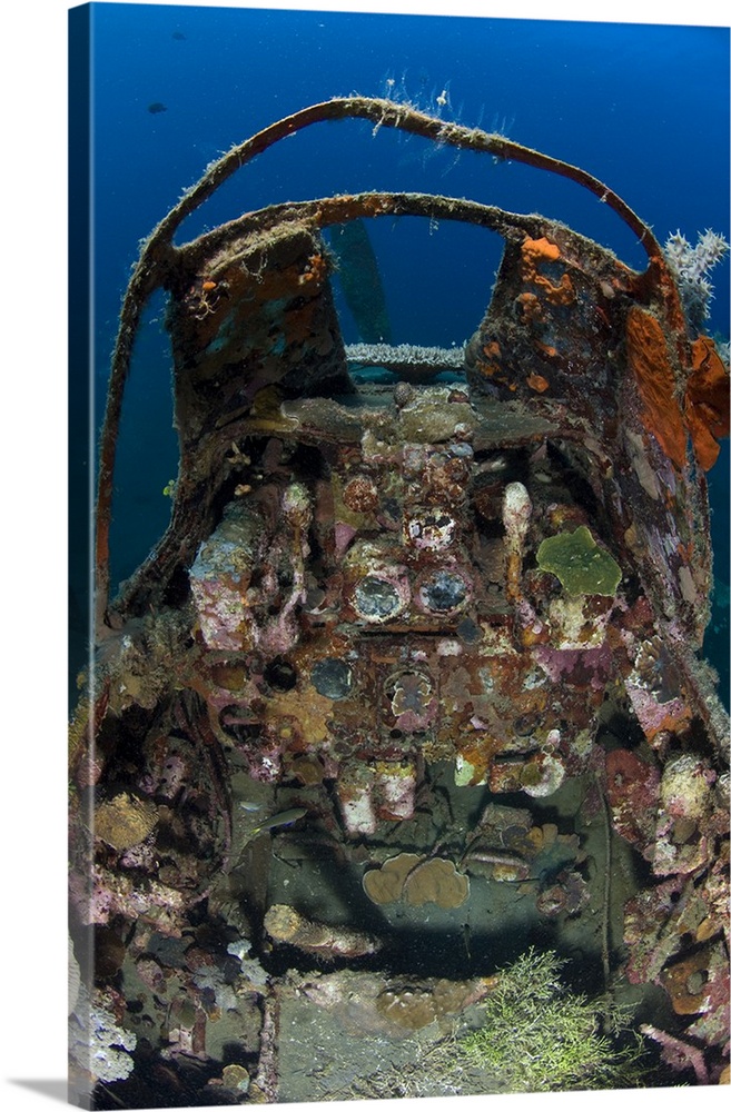 Cockpit of a Mitsubishi Zero fighter plane wreck underwater.