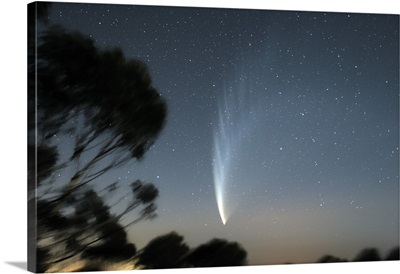 Comet McNaught P1