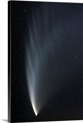 Comet McNaught P1