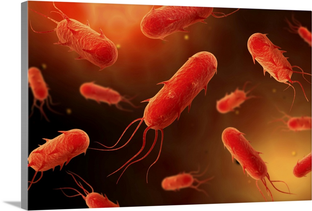 Conceptual image of flagellate bacterium.