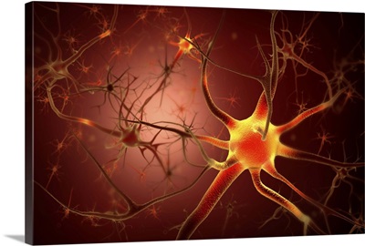 Conceptual image of neuron