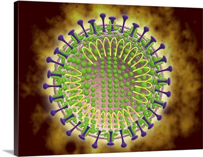 Conceptual image of the coronavirus
