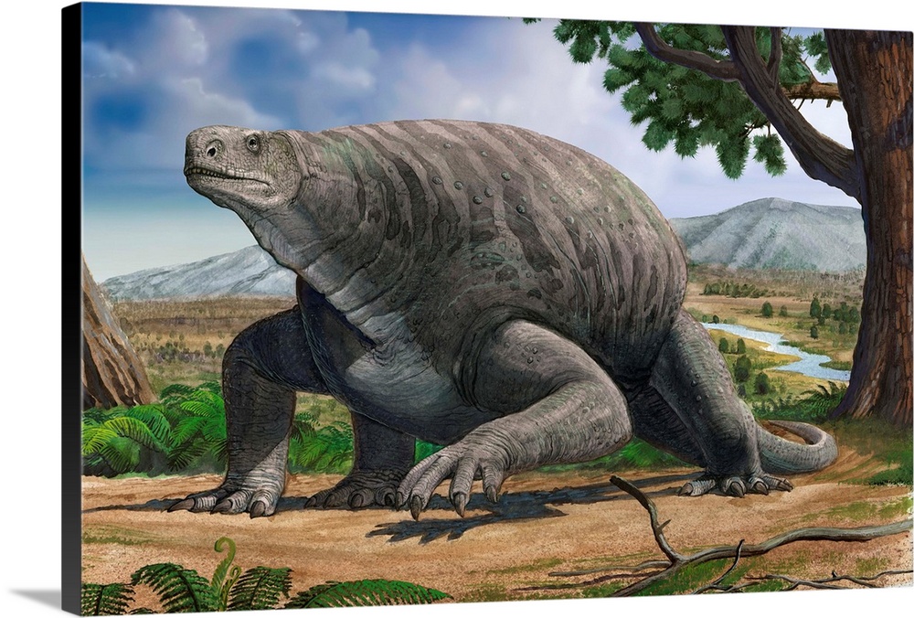 Cotylorhynchus bransoni, a prehistoric animal from the Paleozoic Era.