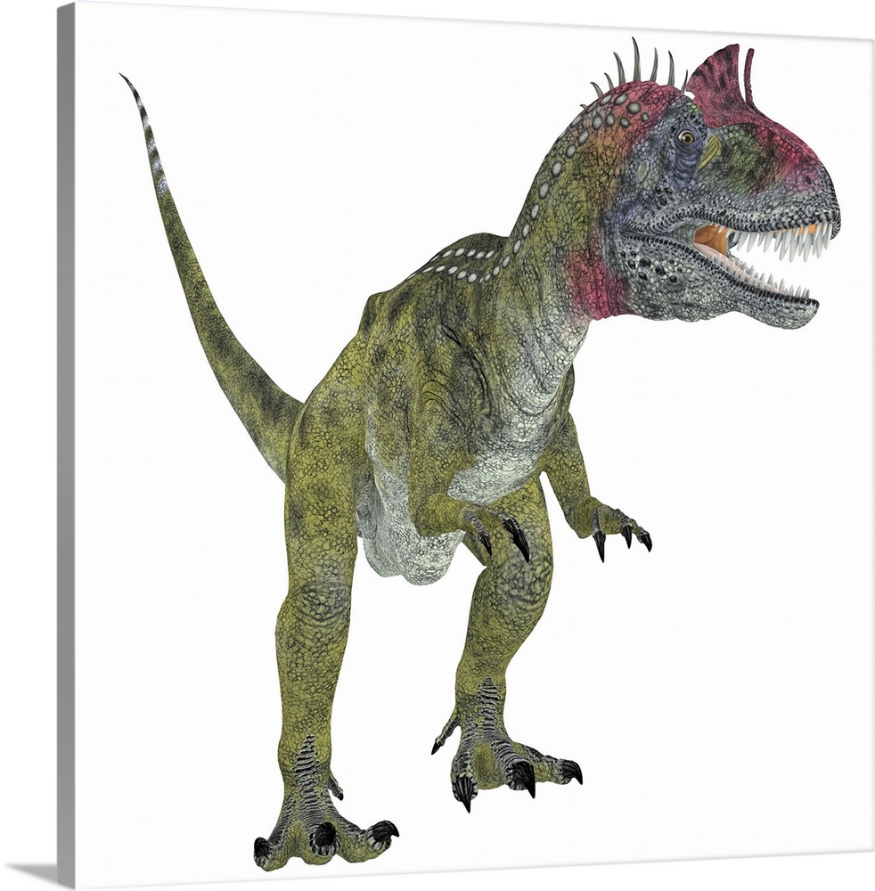 Cryolophosaurus dinosaur, white background. Cryolophosaurus was a theropod dinosaur that lived in Antarctica during the Ju...