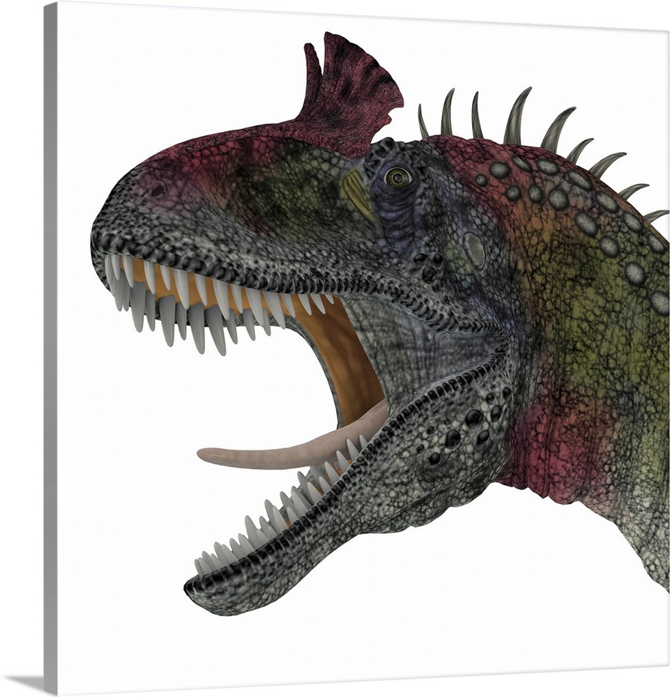 Cryolophosaurus portrait. Cryolophosaurus was a theropod dinosaur that lived in Antarctica during the Jurassic Period.