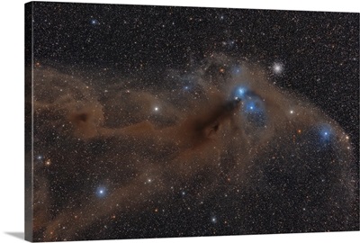 Dark nebula in the constellation of Sagittarius
