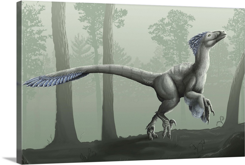 Deinonychus (Deinonychus antirrhopus) Dimensions & Drawings