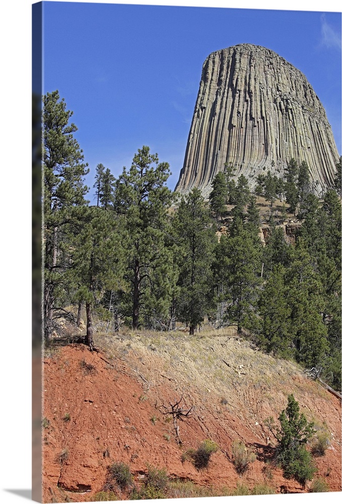 September 15, 2009 - Devils Tower, a monolithic igneous intrusion or laccolith made of columns of phonolite porphyry, Wyom...