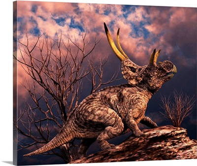 Diabloceratops was a ceratopsian dinosaur from the Cretaceous Period