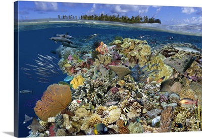 Digital composite of a tropical coral reef environment, Marshall Islands, Micronesia.