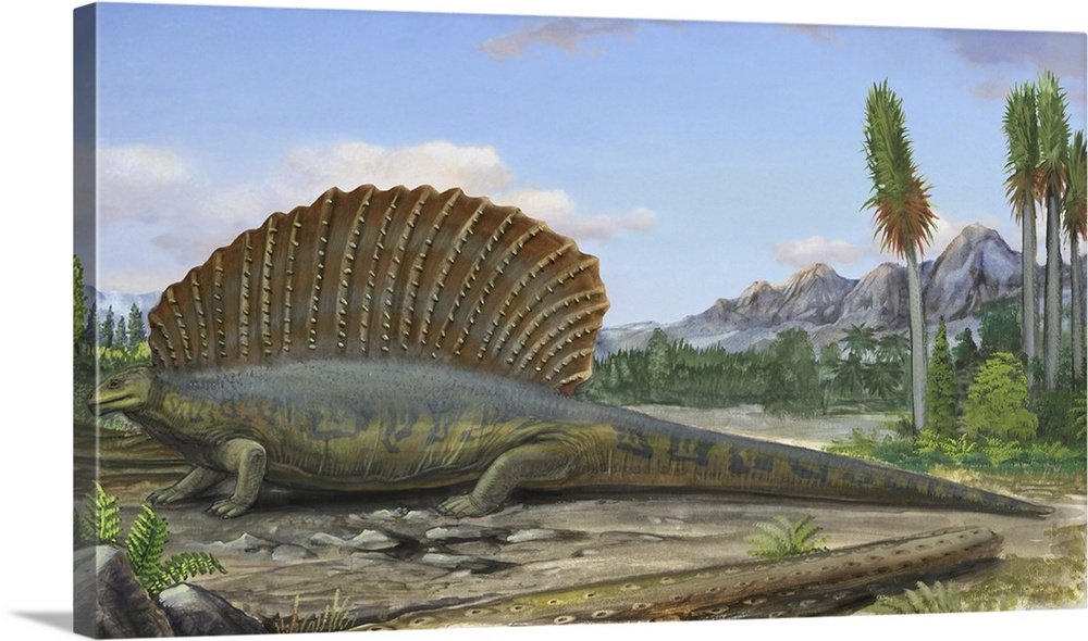 Edaphosaurus pogonias, a prehistoric animal from the Paleozoic Era.