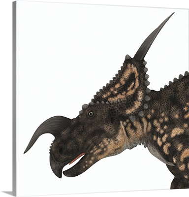 Einiosaurus portrait
