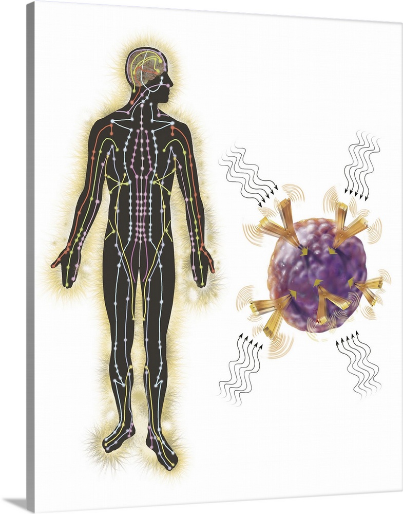Energy meridians of the human body and a cell showing energy vibrational communication.