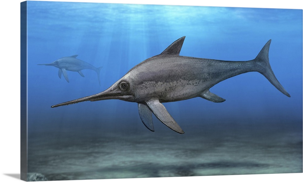 Eurhinosaurus longirostris swimming in prehistoric waters.