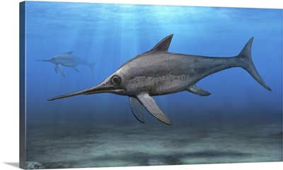Eurhinosaurus longirostris swimming in prehistoric waters