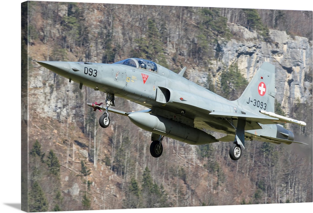 F-5E Tiger II from the Swiss Air Force landing.