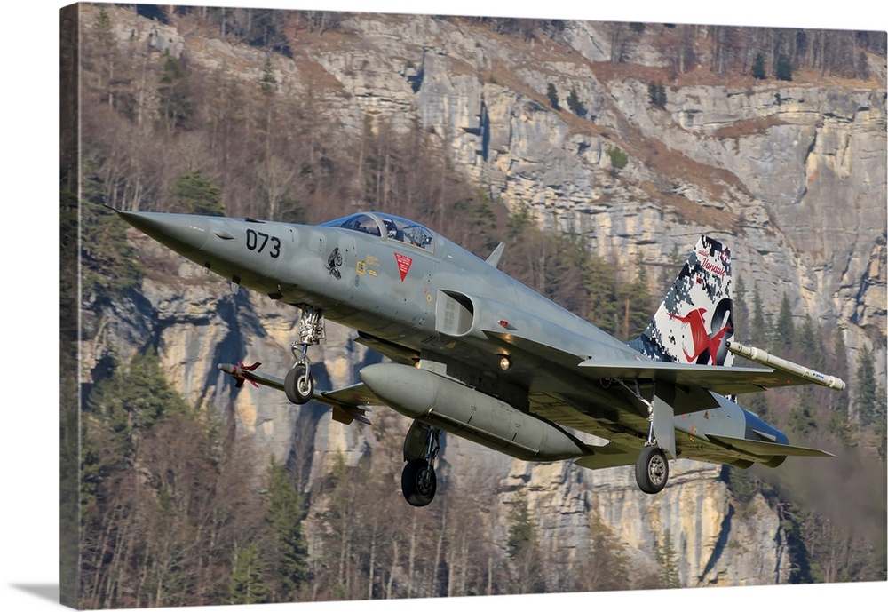 F-5E Tiger II from the Swiss Air Force landing.