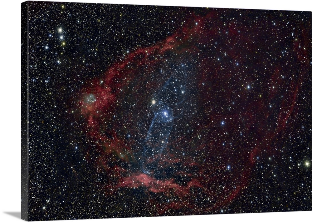 Flying Bat Nebula (Sh2-129), and the Squid Nebula (OU4).
