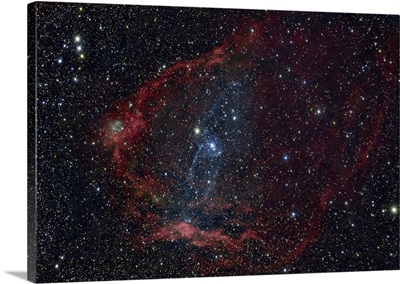 Flying Bat Nebula (Sh2-129), And The Squid Nebula (OU4)
