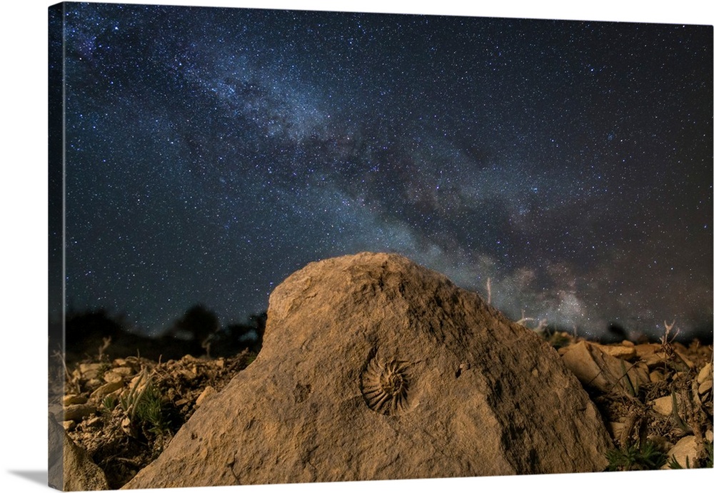 Fossilized ammonite and the Milky Way on a mountain top in Russia.