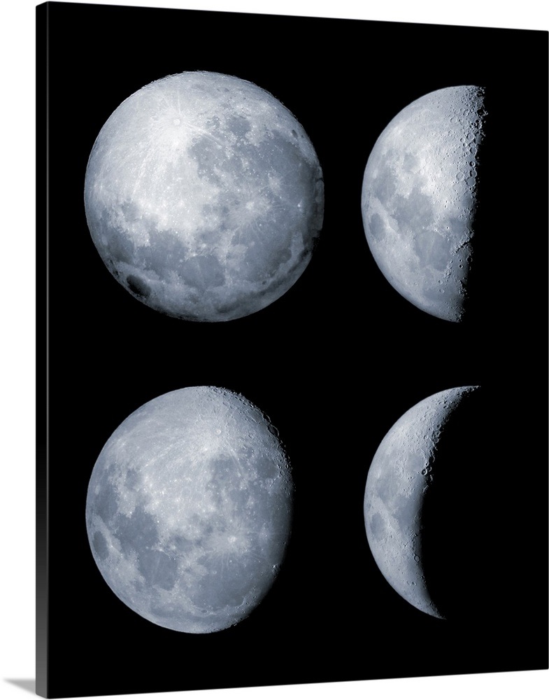 four-phases-of-the-moon-wall-art-canvas-prints-framed-prints-wall-peels-great-big-canvas