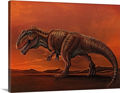 Giganotosaurus Walking In The Desert Of Patagonia