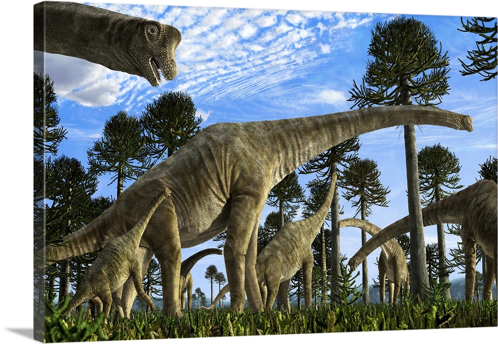 Giraffatitan brancai dinosaurs grazing in a Jurassic environment.